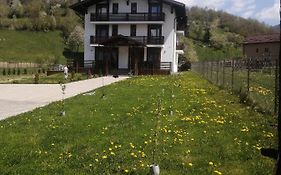 Pensiunea ACASA LA VLADUȚ